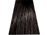 Chantal Prosalon Intensis Color Art Farba 4/G4 100 - 2