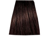 Chantal Prosalon Intensis Color Art Farba 6/B1 100 - 2