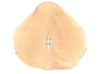 Fanola Color Crema Farba krem koloryzujący 10.3 - 2