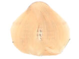 Fanola Color Crema Farba krem koloryzujący 10.3 - 2