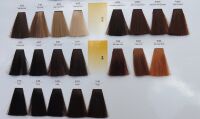 CHANTAL PROSALON INTENSIS FARBA COLOR ART 100 g - 4