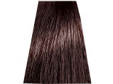 Chantal Prosalon Intensis Color Art Farba 5/G4 100 - 2
