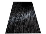 Chantal Prosalon Intensis Color Art Farba 4/1 100 - 2
