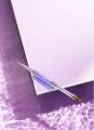 DNKa Liner + Gel Brush #0006 2w1 - 2
