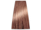 Chantal Prosalon Intensis Color Art Farba 8/04 100 - 2