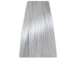 Chantal Prosalon Intensis Color Art Farba 1000/11 - 2
