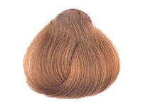 Alfaparf Evolution Of The Color Farba EOC 9NB 60 ml - 2