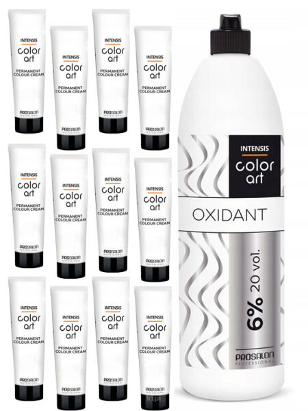 Chantal Prosalon Color Art Farba x12 sztuk + Woda
