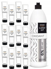 Chantal Prosalon Color Art Farba x12 sztuk + Woda