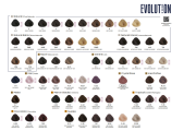 Alfaparf Evolution of the color farba do włosów EOC 60 ml - 3