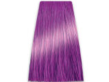 Chantal Prosalon Intensis Color Art Toner fiolet - 2