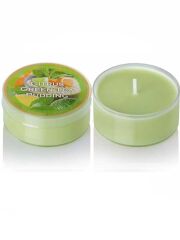 Bartek Świeczka Green Tea Pudding With Citrus 40 g