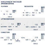 Alfaparf Evolution of the color farba do włosów EOC 4NB 60 ml - 5