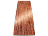 Chantal Prosalon Intensis Color Art Farba 9/04 100 - 2