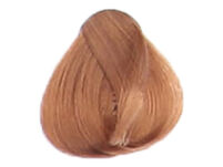 Fanola Color Crema Farba krem koloryzujący 8.14 - 2