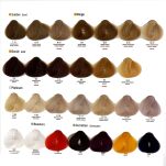 Alfaparf Evolution Of The Color Farba 60ml - 2