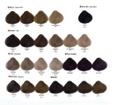 Alfaparf Evolution Of The Color Farba 60ml - 4