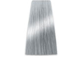 Chantal Prosalon Color Art Toner srebrno-szary - 2