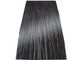 Chantal Prosalon Intensis Color Art Farba 6/11 100 - 2