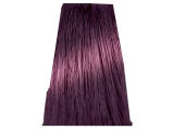 Chantal Prosalon Intensis Color Art Farba 5/2 100 - 2