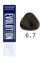 Alfaparf Evolution of the color farba do włosów EOC 6.7 60 ml - 2