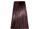 Chantal Prosalon Intensis Color Art Farba 6/G4 100 - 2