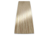 Chantal Prosalon Intensis Color Art Farba 10/13 - 2