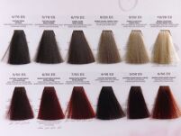 Lisap Escalation Seduction Farba Krem Koloryzacja 8/55 - 3