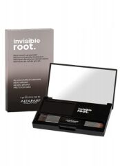Alfaparf Korektor Invisible Root Touch Up Black 5g