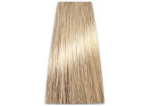 Chantal Prosalon Intensis Color Art Farba 10/0 100 - 2