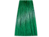 Chantal Prosalon Intensis Color Art Toner zielony - 2