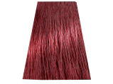 Chantal Prosalon Intensis Color Art Farba 5/5 100 - 2