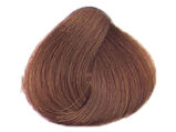 Alfaparf Evolution Of The Color Farba 7NB 60 ml - 2