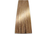Chantal Prosalon Intensis Color Art Farba 9/0 100 - 2