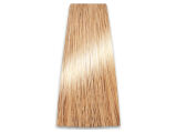 Chantal Prosalon Intensis Color Art Farba 8/3 100 - 2