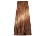 Chantal Prosalon Intensis Color Art Farba 9/00 100 - 2